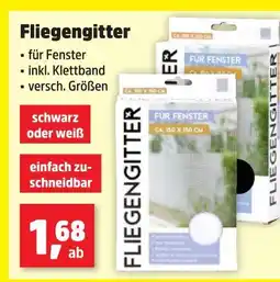 Thomas Philipps Fliegengitter Angebot