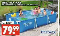 Wreesmann Bestway steel-pro-pool Angebot