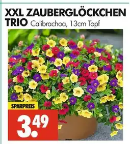 Wreesmann Xxl zauberglöckchen trio Angebot