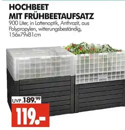 Wreesmann Hochbeet mit frühbeetaufsatz Angebot
