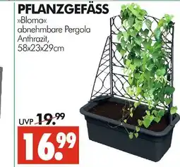 Wreesmann Pflanzgefäß bloma Angebot