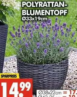 Wreesmann Polyrattan blumentopf Angebot