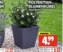 Wreesmann Polyrattan-blumenkübel Angebot