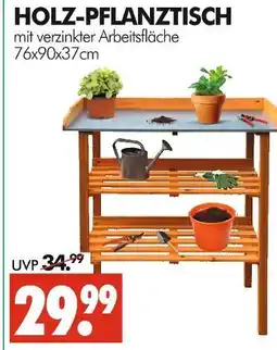 Wreesmann Holz-pflanztisch Angebot