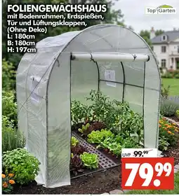 Wreesmann Top garten foliengewächshaus Angebot