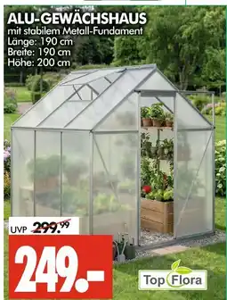 Wreesmann Top flora alu-gewächshaus Angebot