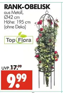 Wreesmann Top flora rank-obelisk Angebot