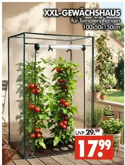 Wreesmann Xxl-gewächshaus Angebot