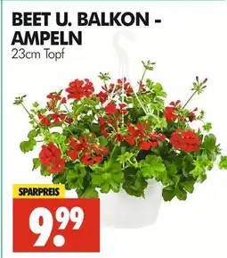 Wreesmann Beet u. balkon - ampeln Angebot