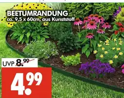 Wreesmann Beetumrandung Angebot