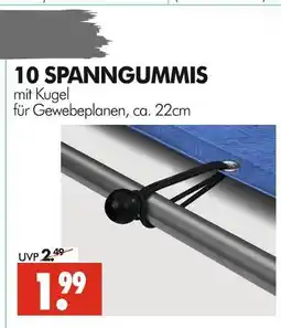 Wreesmann 10 spanngummis mit kugel Angebot