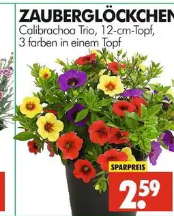 Wreesmann Zauberglöckchen Angebot