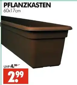 Wreesmann Pflanzkasten Angebot