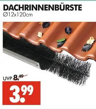 Wreesmann Dachrinnenbürste Angebot
