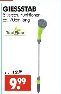 Wreesmann Top flora gießstab Angebot