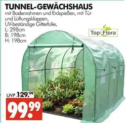 Wreesmann Top flora tunnel-gewächshaus Angebot