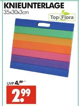 Wreesmann Top flora knieunterlage Angebot