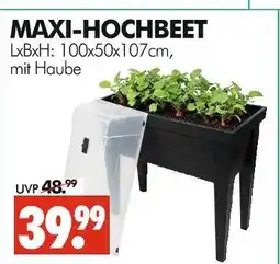 Wreesmann Maxi-hochbeet Angebot