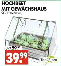 Wreesmann Top flora hochbeet mit gewächshaus Angebot