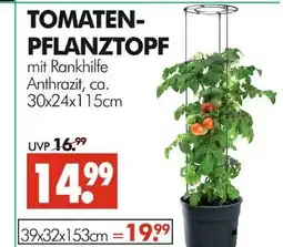 Wreesmann Tomaten-pflanztopf mit rankhilfe Angebot