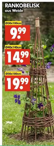 Wreesmann Rankobelisk aus weide ø30x100cm Angebot