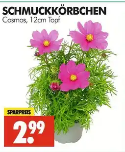 Wreesmann Schmuckkörbchen Angebot