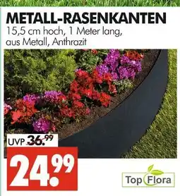 Wreesmann Top flora metall-rasenkanten Angebot