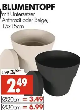 Wreesmann Blumentopf mit untersetzer Angebot