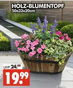 Wreesmann Holz-blumentopf Angebot