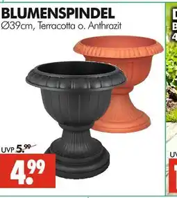 Wreesmann Blumenspindel terracotta Angebot