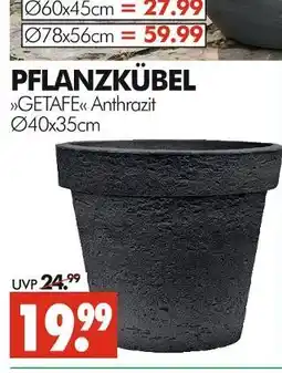 Wreesmann Pflanzkübel getafe anthrazit Angebot