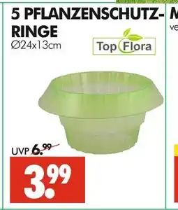 Wreesmann Top flora pflanzenschutz-ringe Angebot