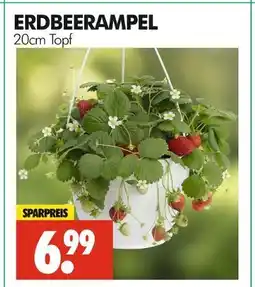 Wreesmann Erdbeere ampel Angebot