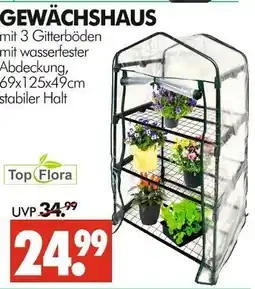 Wreesmann Top flora gewächshaus Angebot