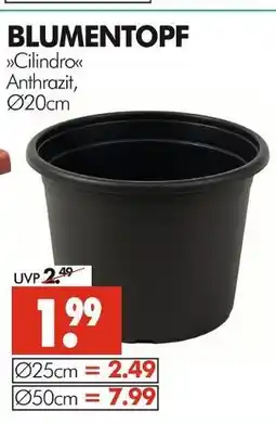 Wreesmann Blumentopf cilindro anthrazit ø20cm Angebot