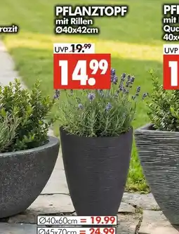 Wreesmann Pflanztopf mit rillen Angebot