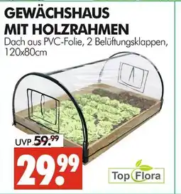 Wreesmann Top flora gewächshaus mit holzrahmen Angebot