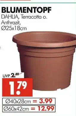 Wreesmann Blumentopf dahlia terracotta Angebot