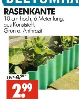 Wreesmann Rasenkante Angebot