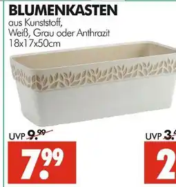 Wreesmann Blumenkasten Angebot