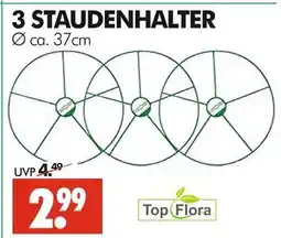 Wreesmann Top flora 3 staudenhalter Angebot