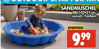 Wreesmann Sandmuschel Angebot