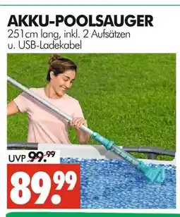 Wreesmann Akku-poolsauger Angebot