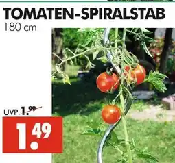 Wreesmann Tomaten-spiralstab Angebot