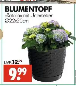 Wreesmann Blumentopf ratolla mit untersetzer Angebot