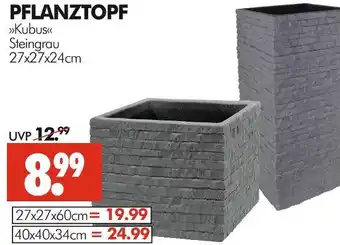 Wreesmann Pflanztopf kubus Angebot