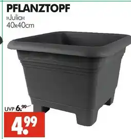 Wreesmann Pflanztopf julia Angebot