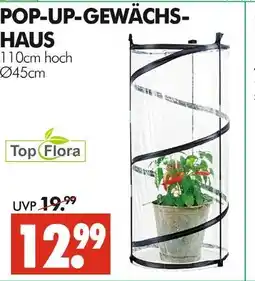 Wreesmann Top flora pop-up-gewächshaus Angebot