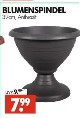 Wreesmann Blumenspindel Angebot