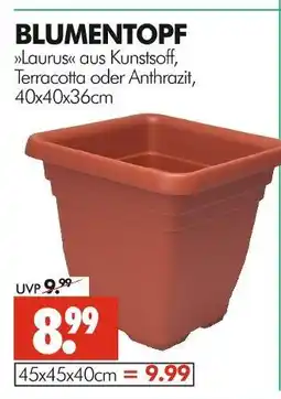 Wreesmann Blumentopf laurus Angebot